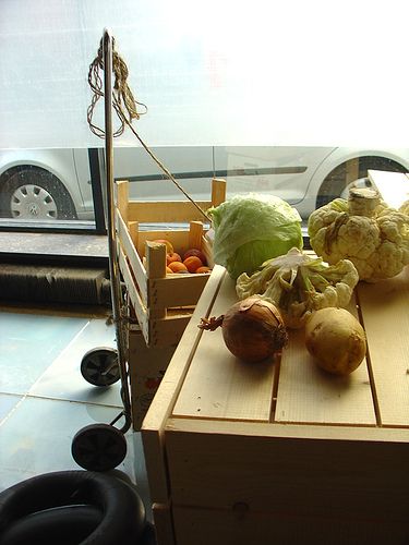 Freegan vegetables from Rotterdam.