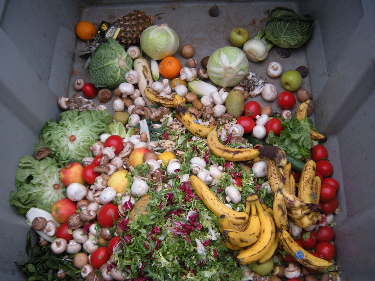 More than often you will find a lot of food in these low and large box-looking gray dumpsters.