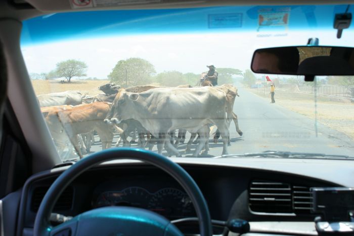 A "traffic jam" on the roads of El Salvador