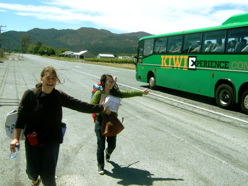 Elsa and Amylin hitching the Kiwi experience