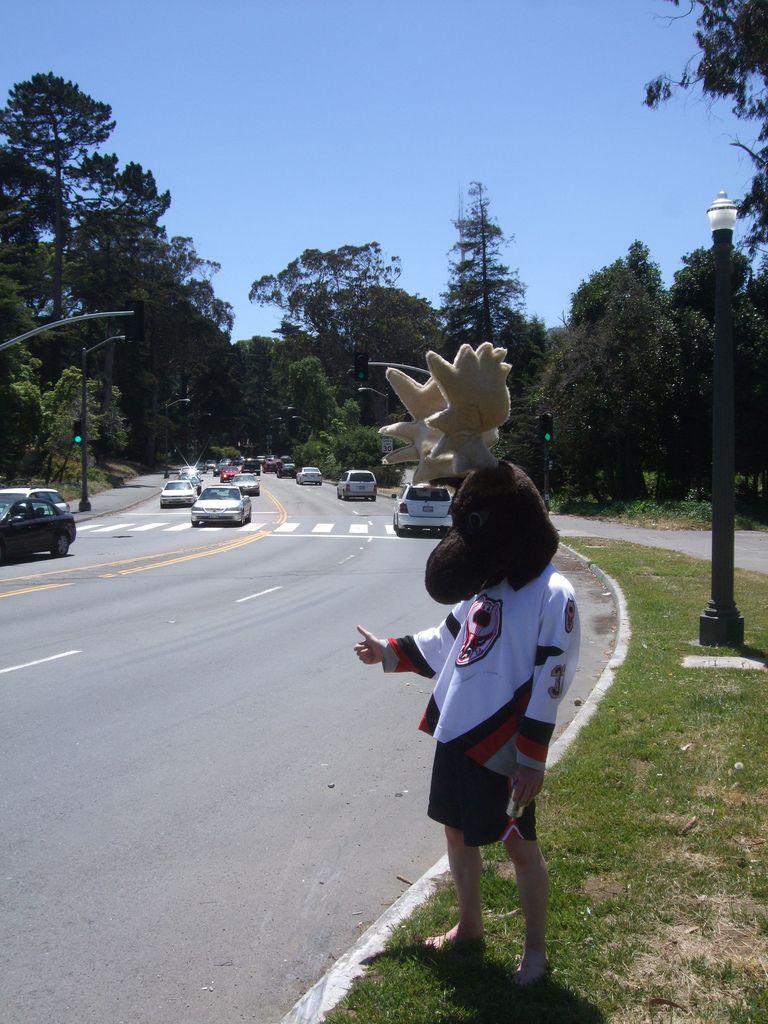 This is probably NOT a good way to hitch a ride.